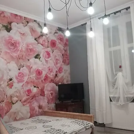 Vintage - Rose Apartament Torun Exterior photo