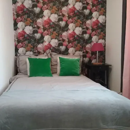 Vintage - Rose Apartament Torun Exterior photo