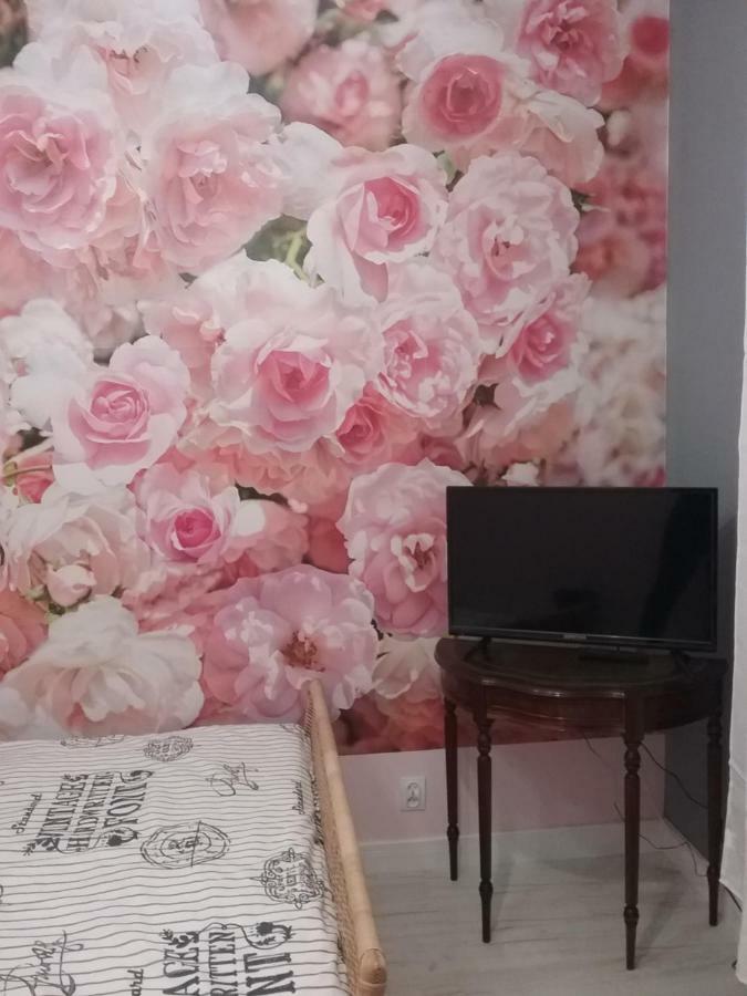 Vintage - Rose Apartment Torun